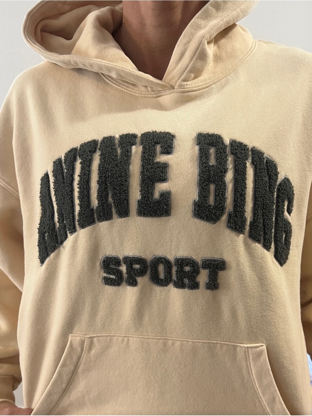 Anine Bing Harvey Sport Hoodie - Picture 3 of 5